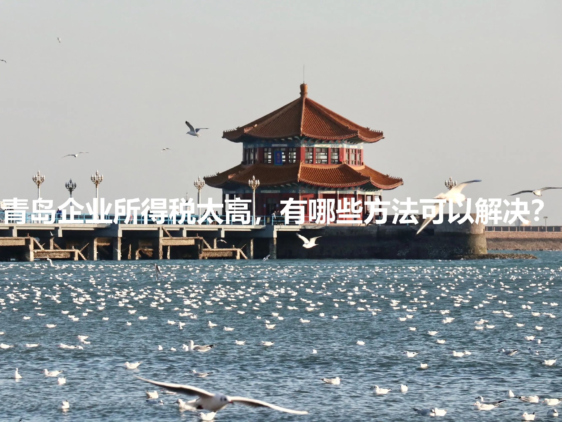 999444.webp_proc.jpg